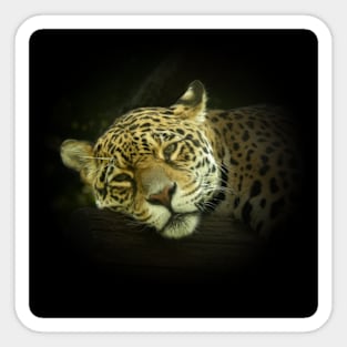 Jaguar Sticker